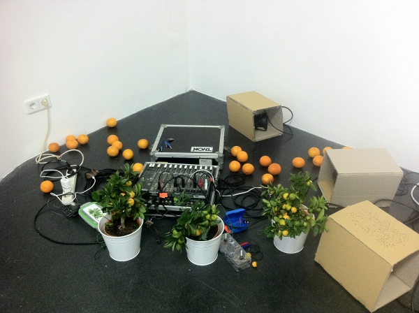 Plants and Empire, performance-installation, Lage Egal, Berlin, DE